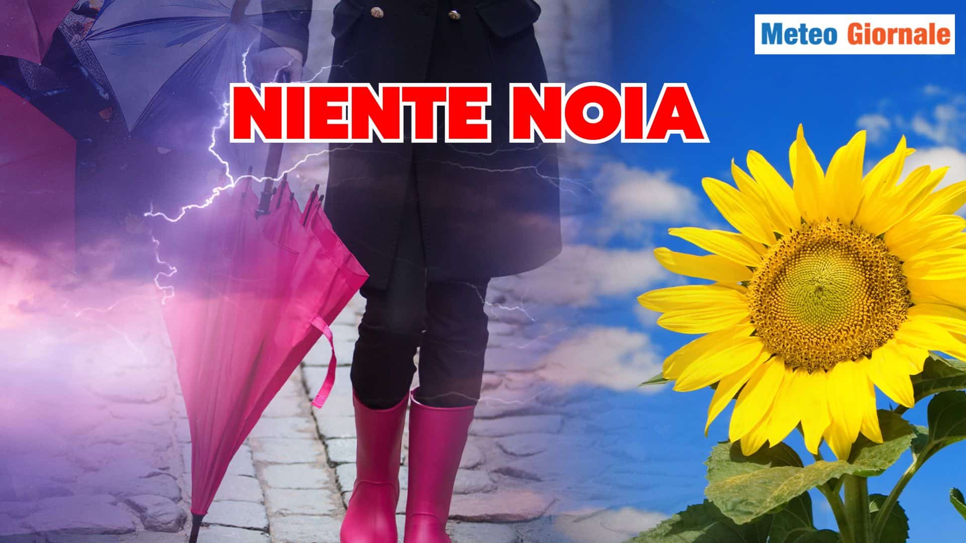 niente noia 05 wsqasdf