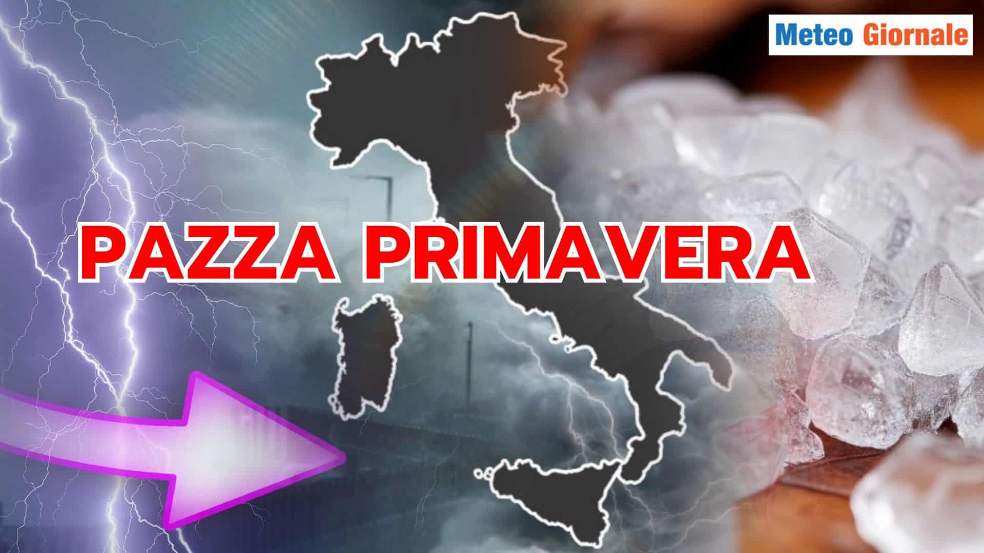 pazza primavera 14 pzzpmra