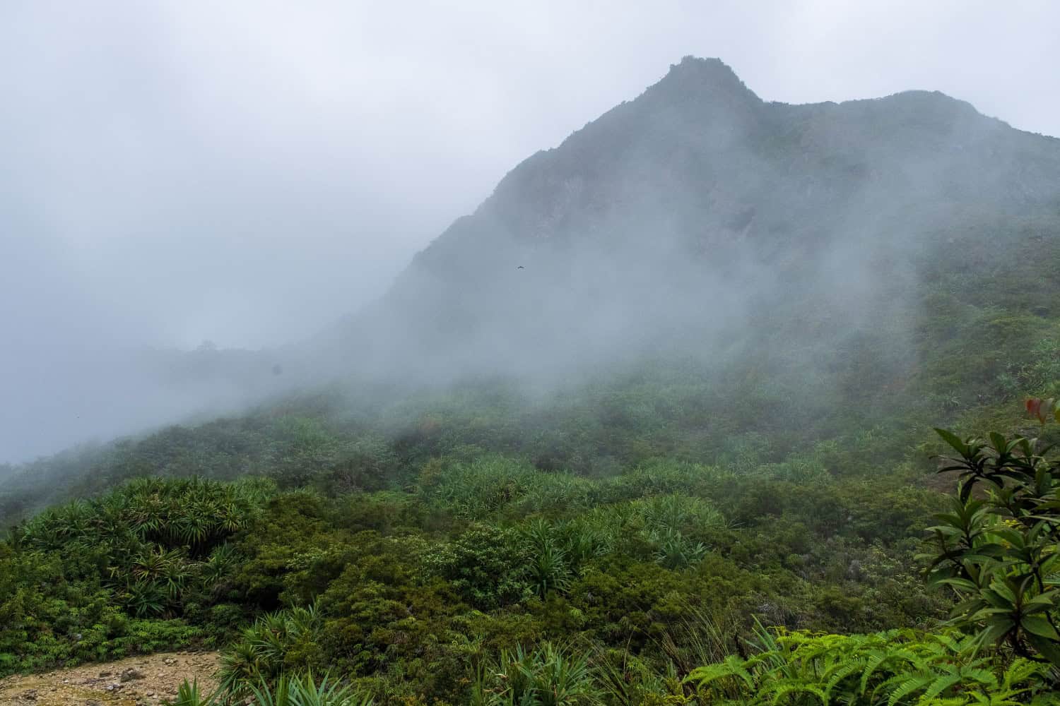 Meteo Indonesia: allerta pioggia e vento forte fino al 7 maggio