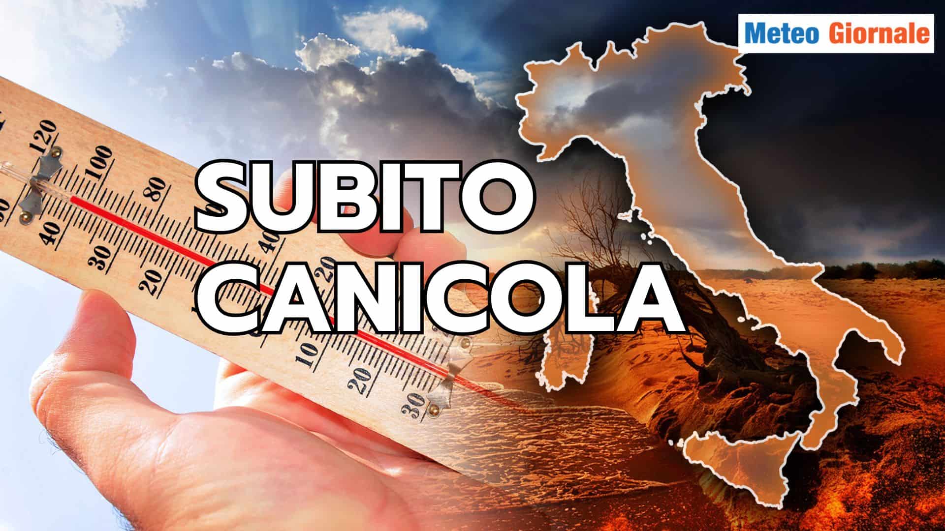 subito canicola 22 sbtcnca