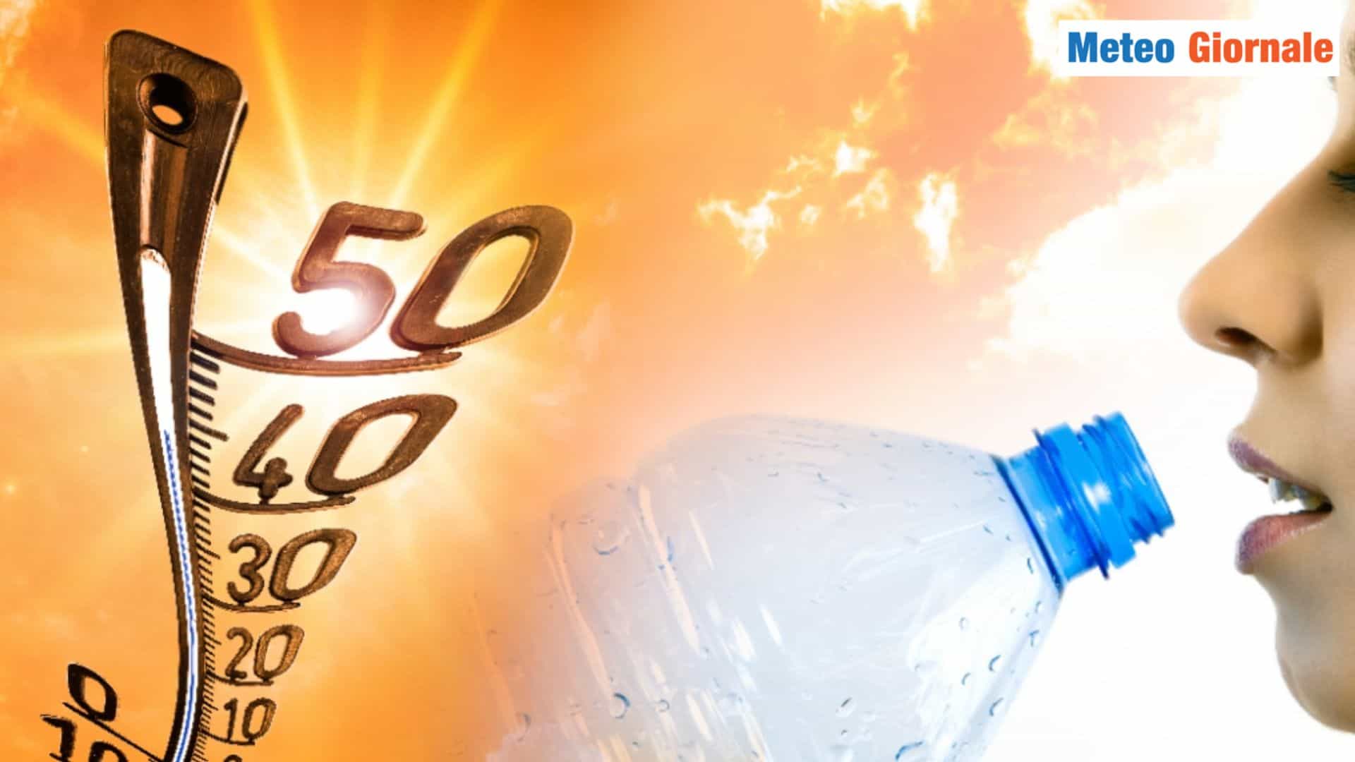 40°C 04 qnta