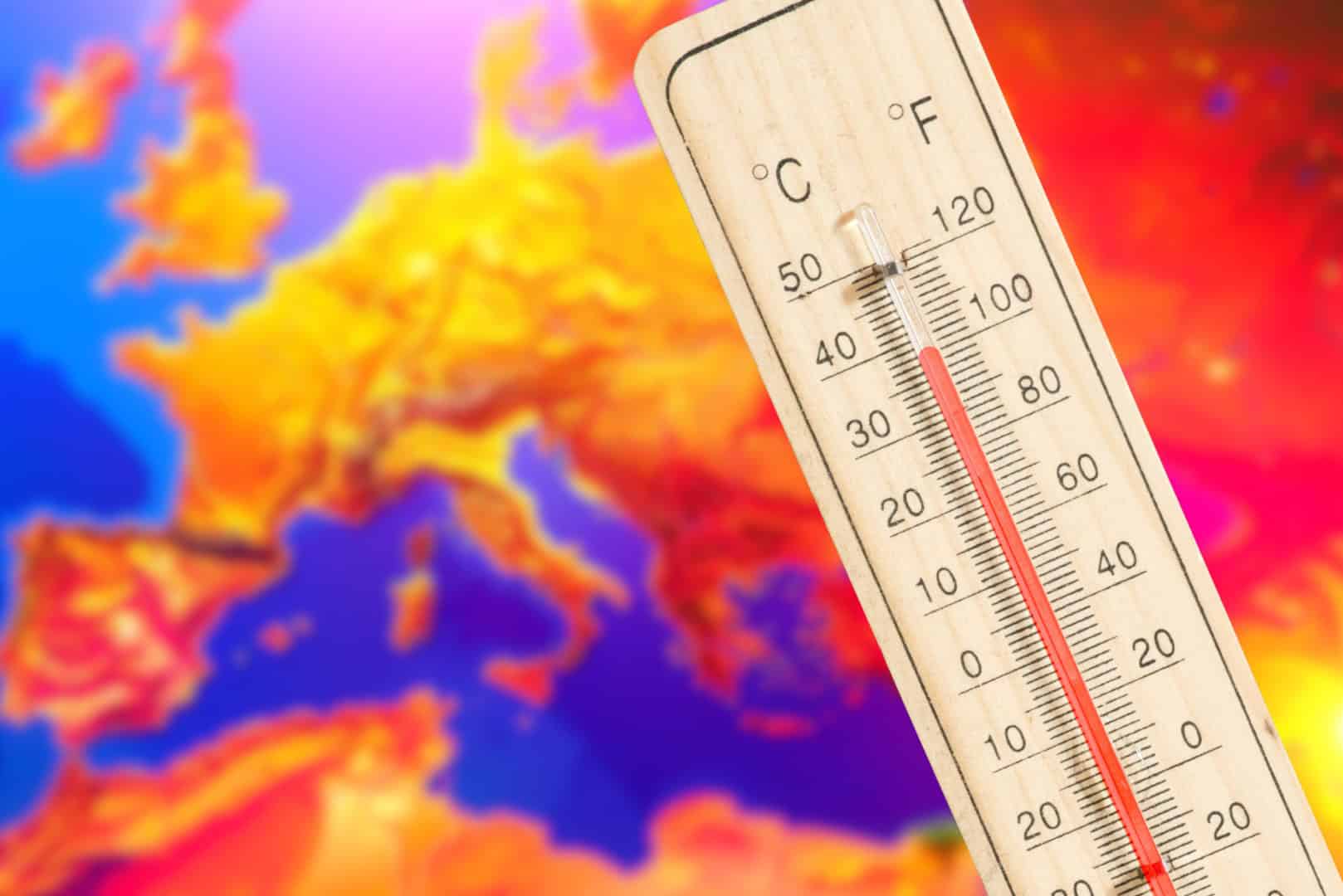 Caldo estremo i danni che nessuno aveva previsto. Previsioni meteo indispensabili