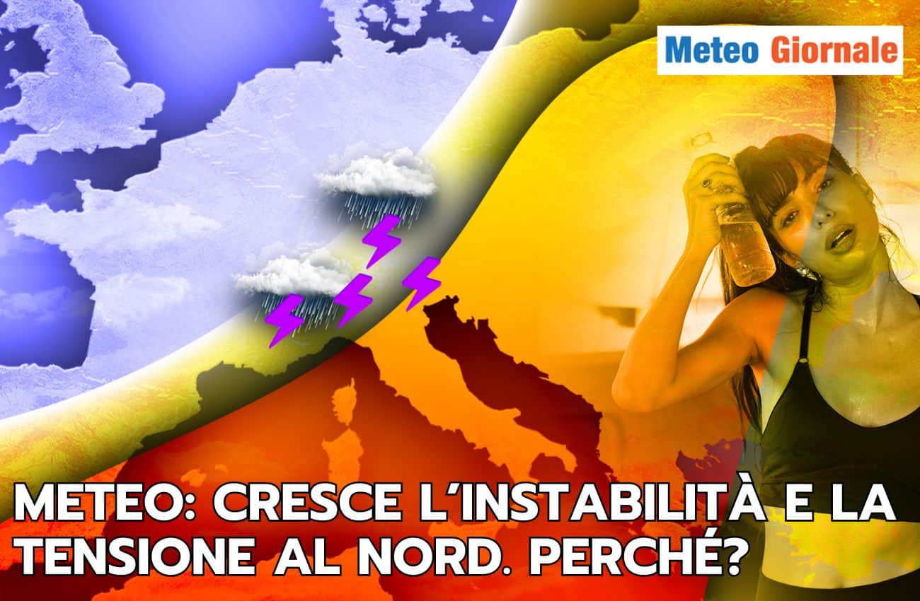 articolo 1 1