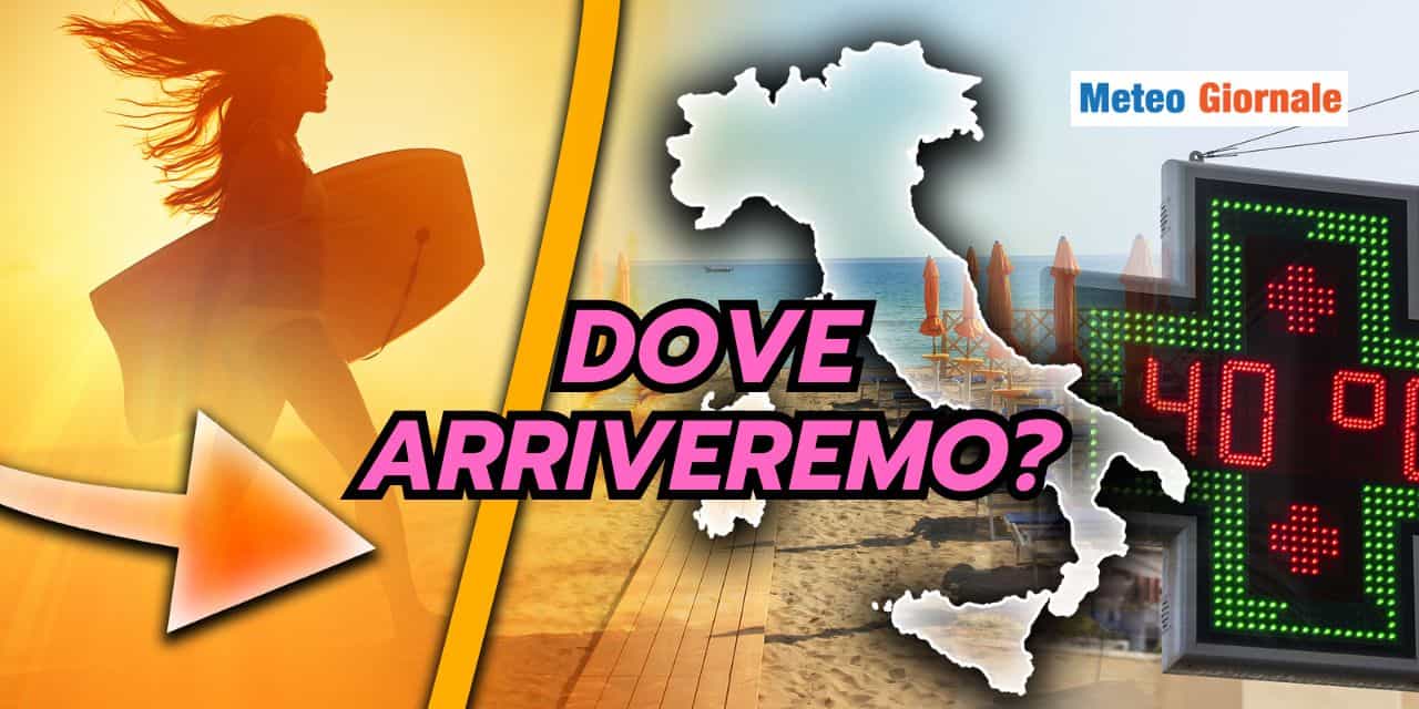 dovearriv 1306
