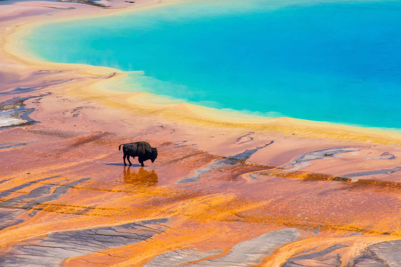 Yellowstone, Scoperti decine di migliaia di terremoti grazie all’intelligenza artificiale