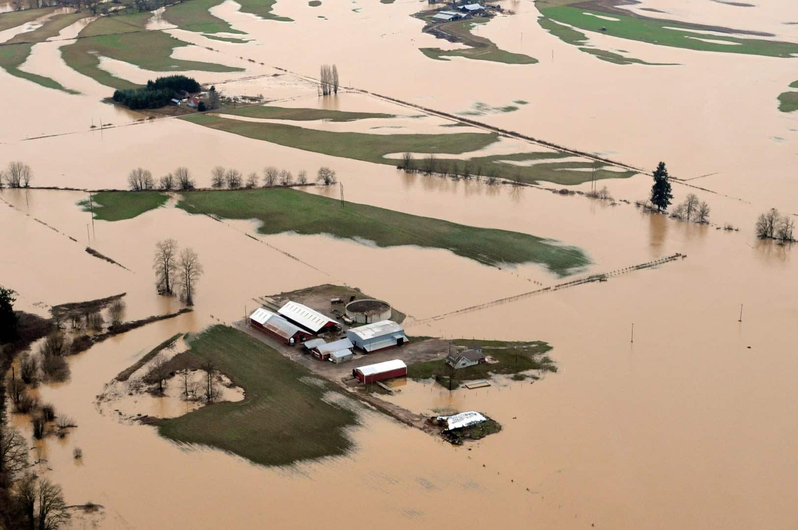 Texas, nel Paese con le migliori previsioni meteo si muore di alluvione. Come mai?