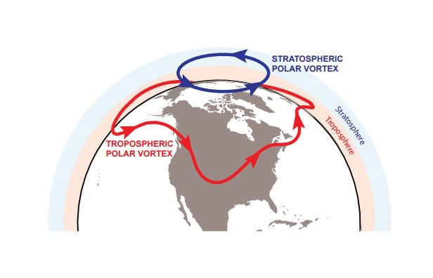 Polar Vortices 1