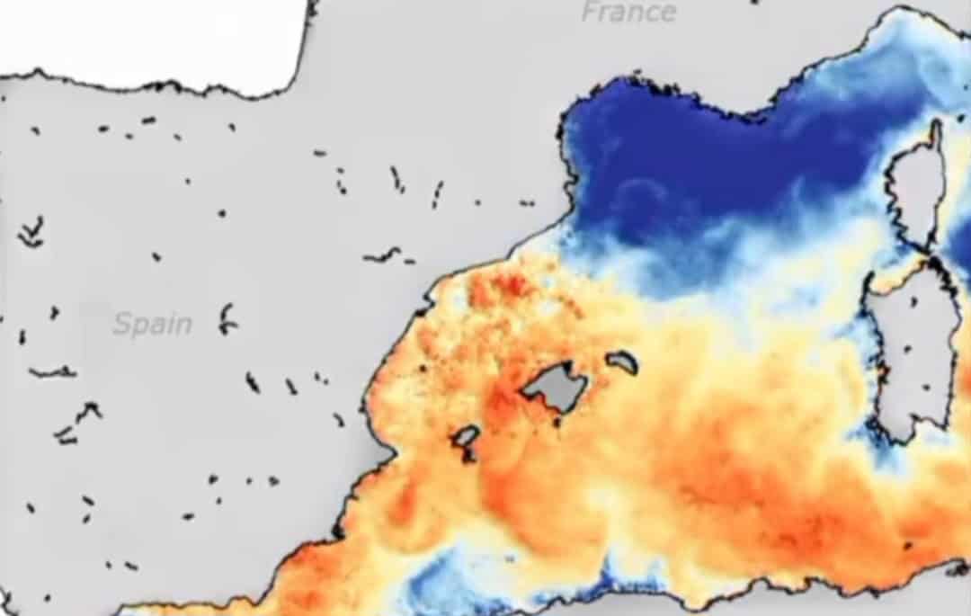 Raffreddamento Mediterraneo upwelling