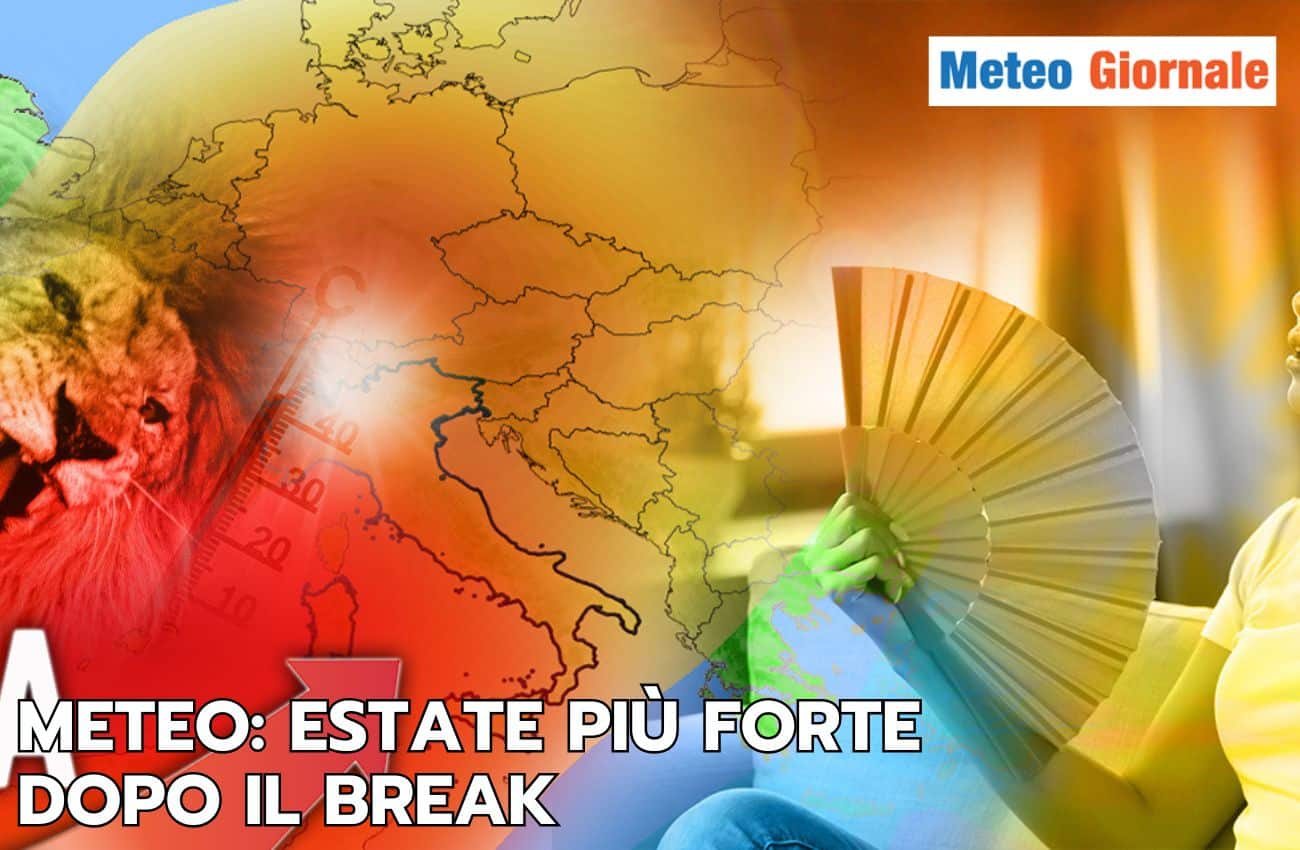 articolo 11