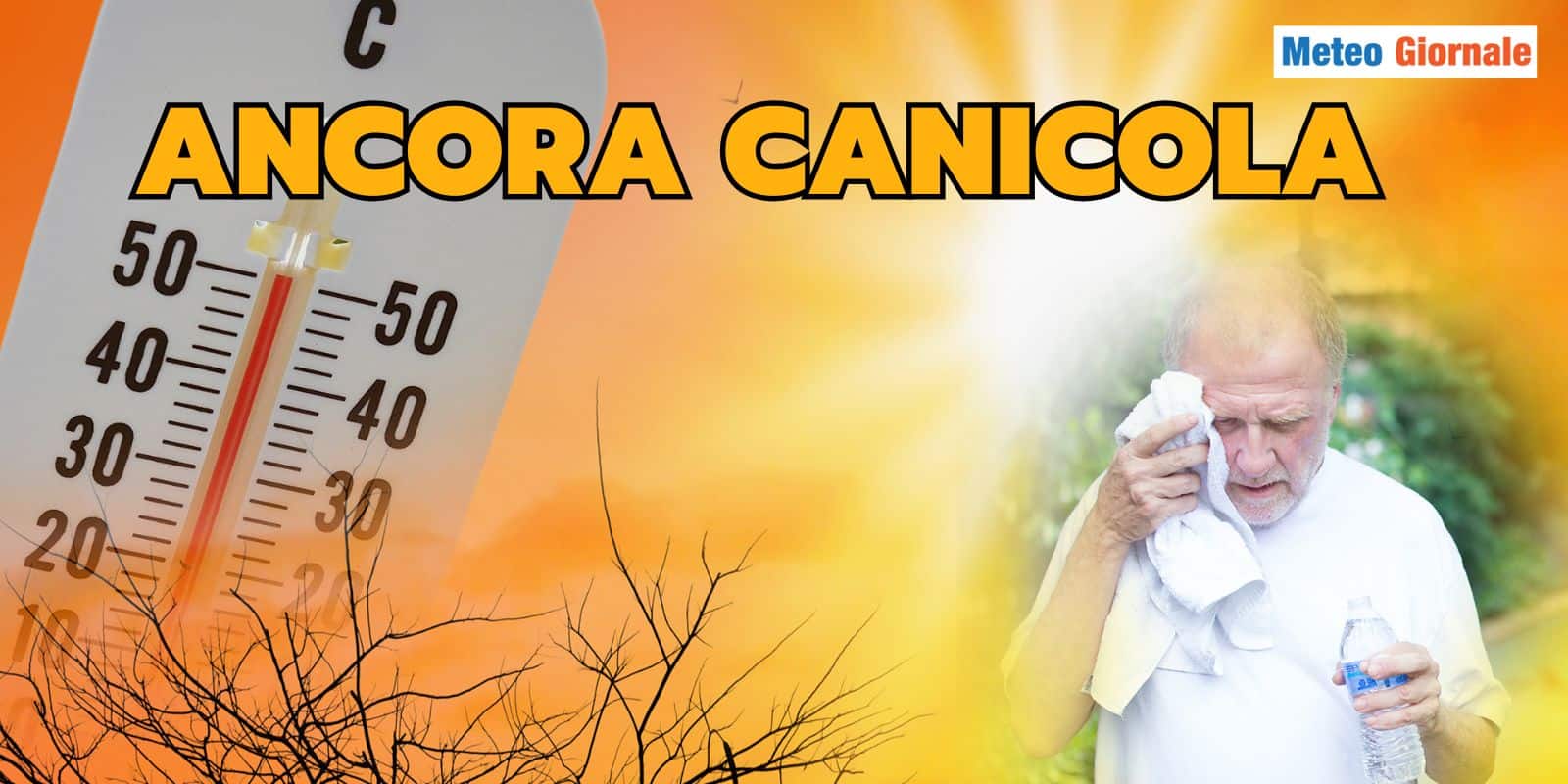 canicola 30 cacola