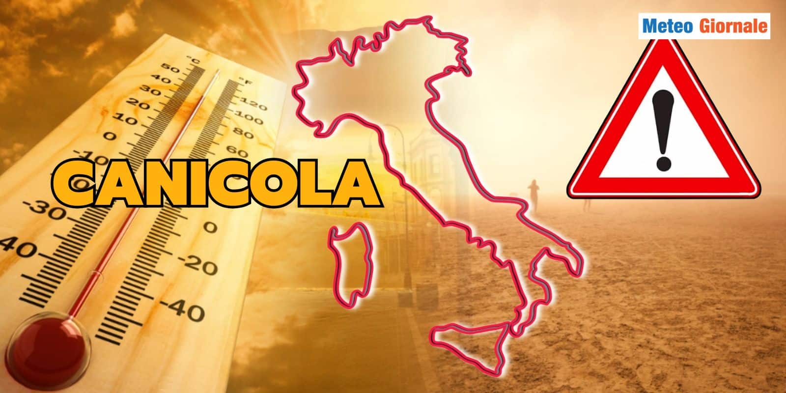 canicola 31 cncola
