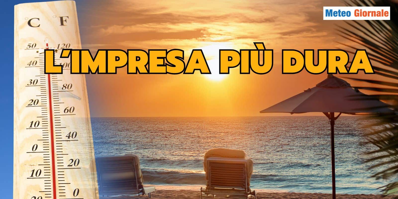 impresa 28 impsa