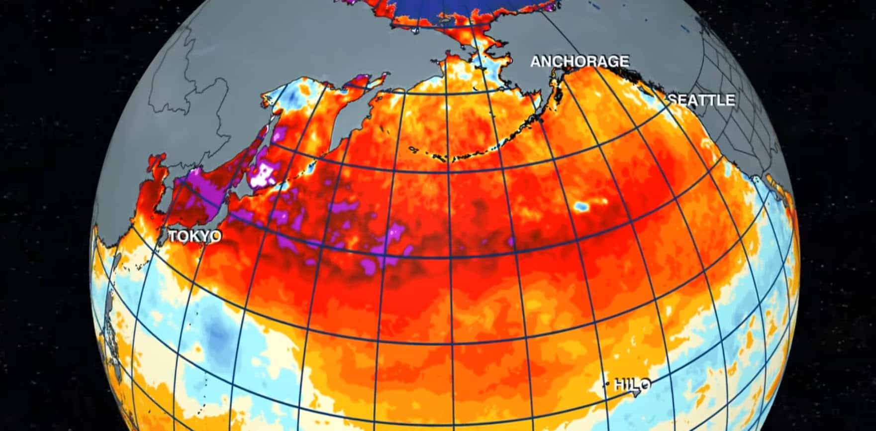 Ondata di calore gigantesca nel Pacifico!