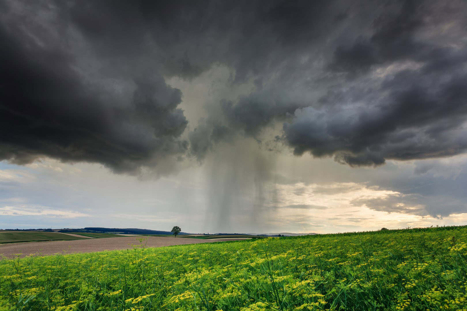 Previsioni Meteo per Lunedì 4 Agosto 2025