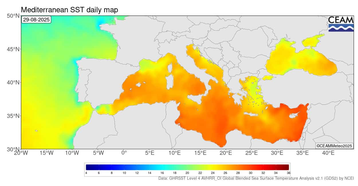 SST NCEI ATLMED latest