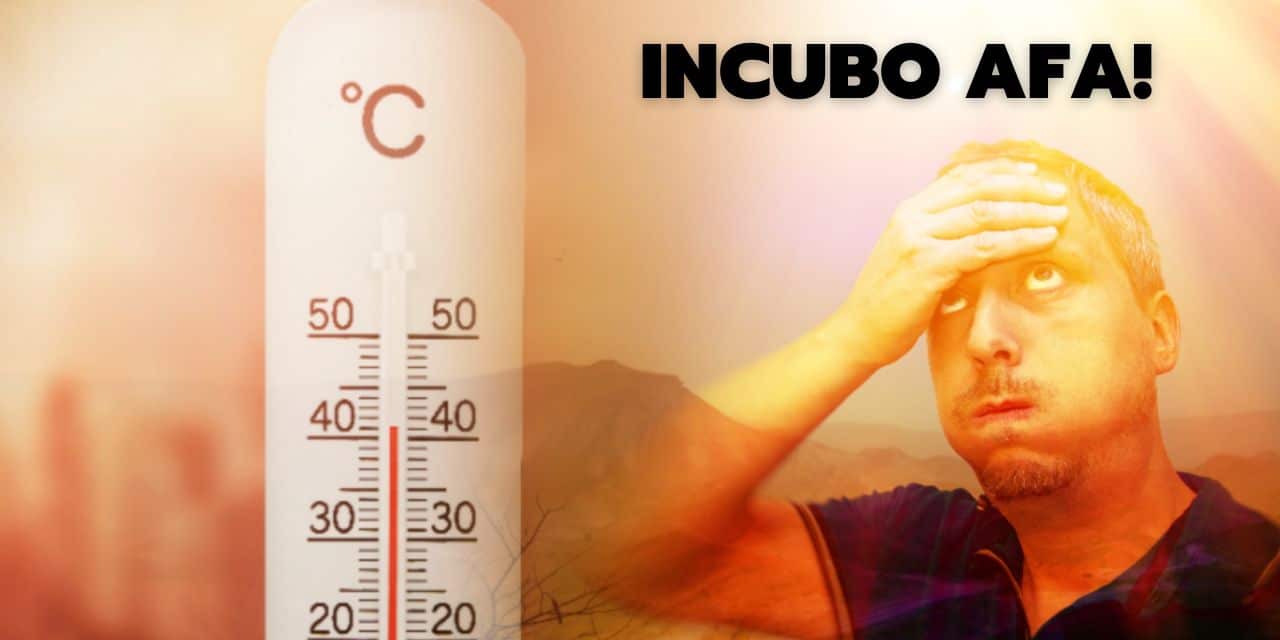afa caldo in arrivo meteo 0508