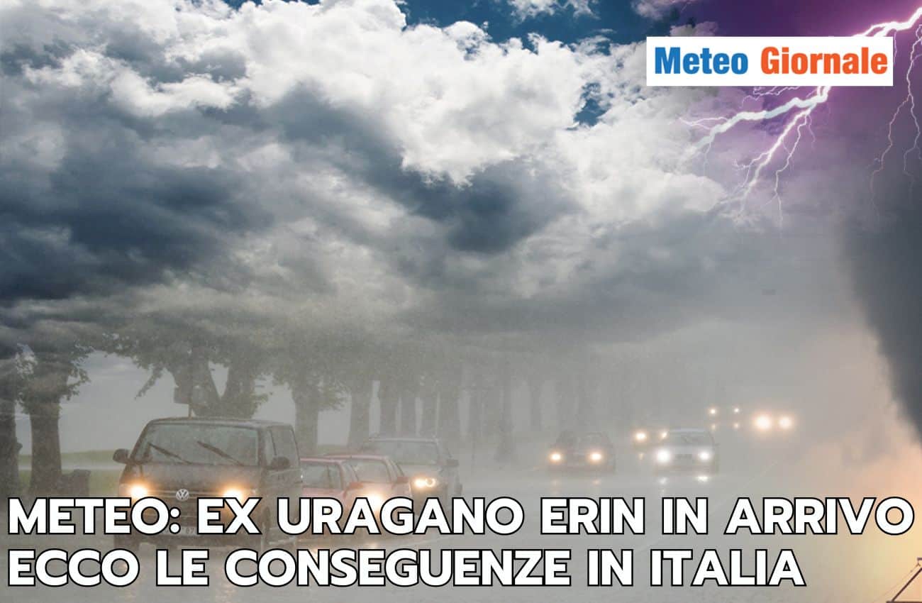 articolo 18