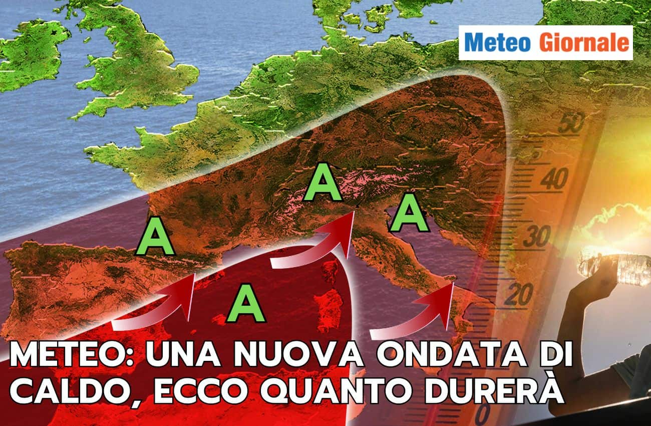 articolo 2