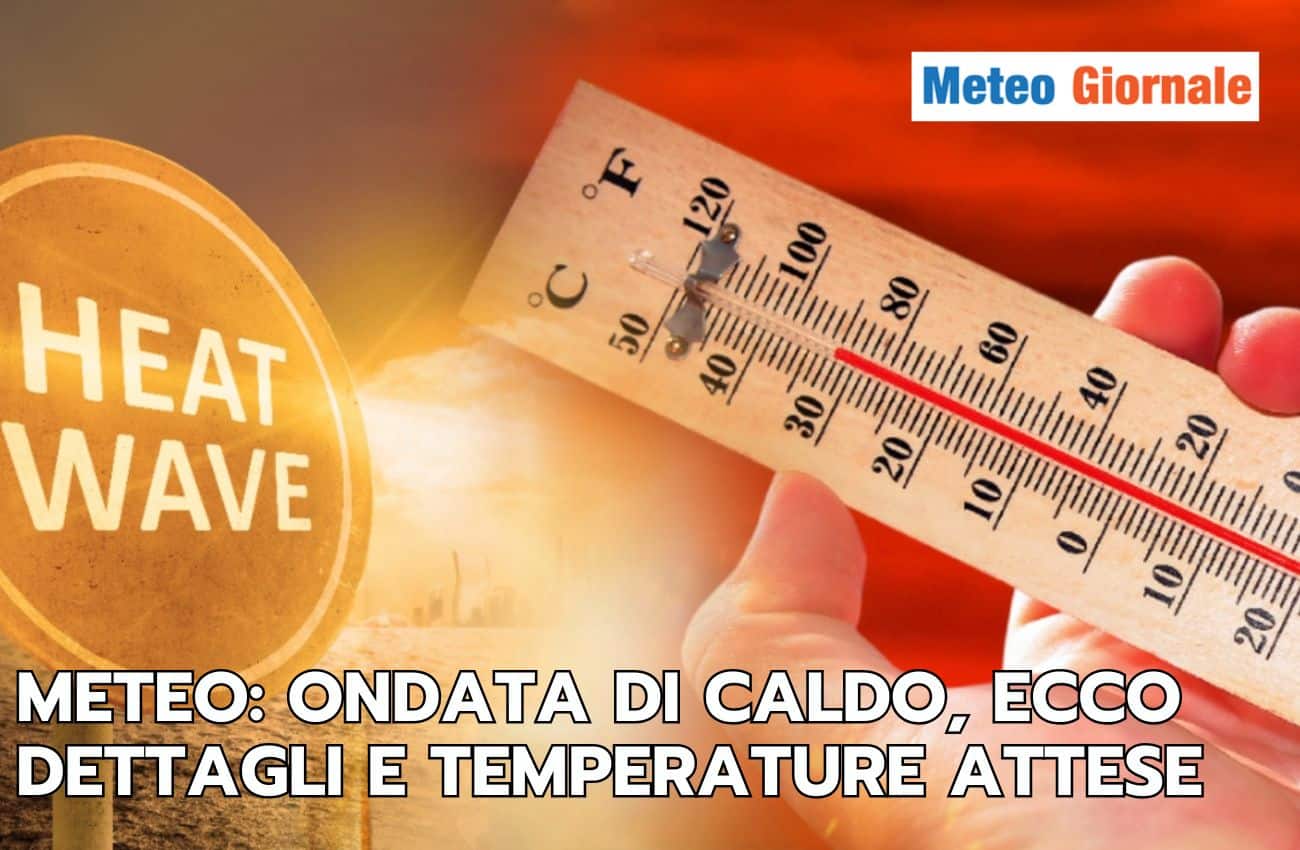 articolo 5
