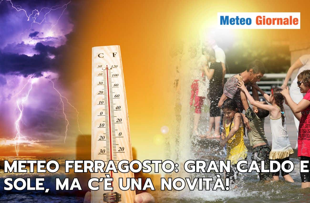articolo 7