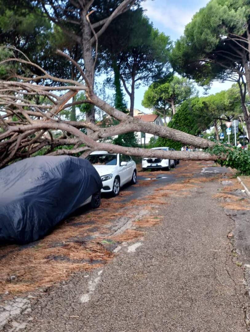 danni diffusi in romagna