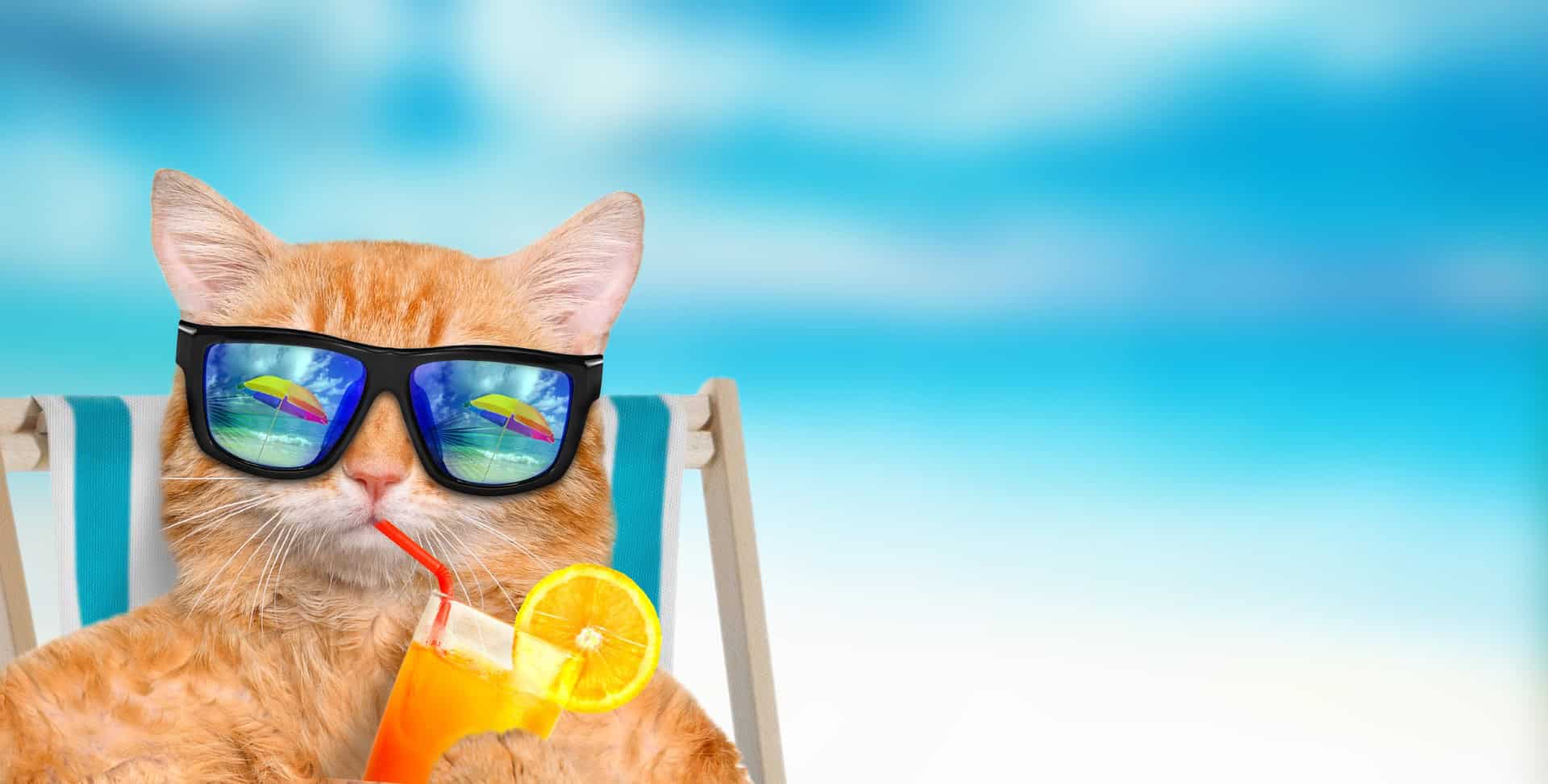 dreamstime m 92310116