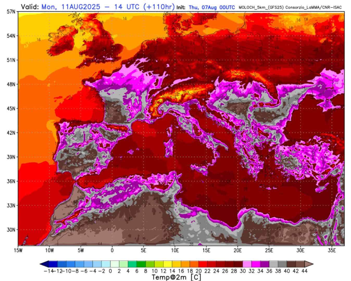 moloch 655