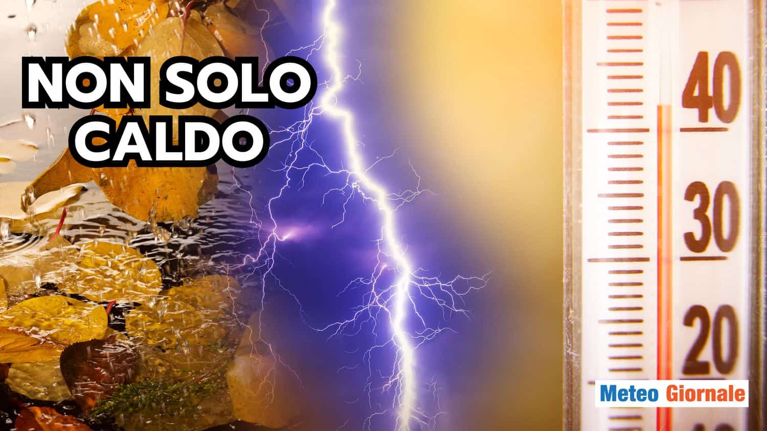 temporal 13 ago