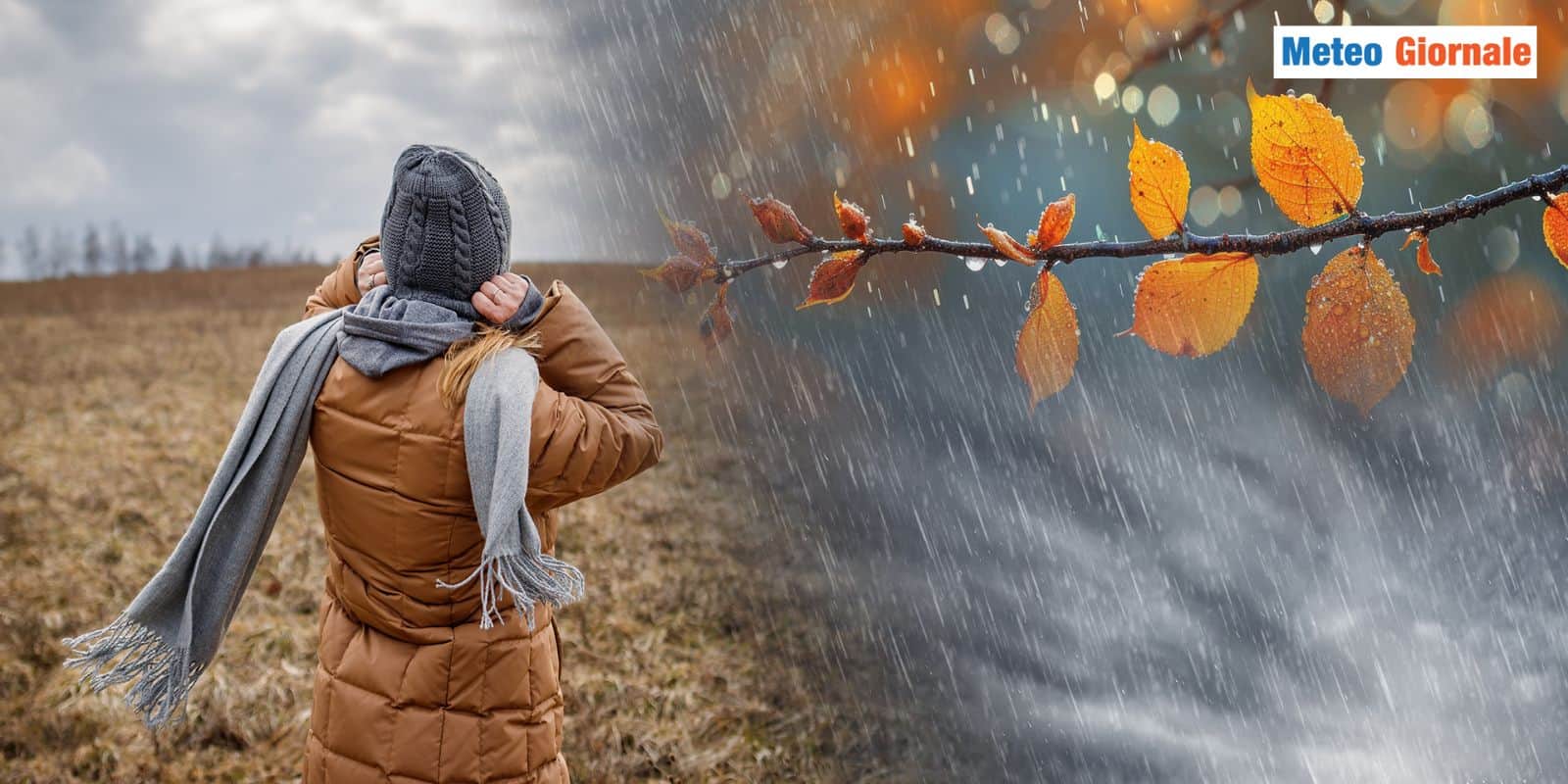 verso autunno 26 vrsatnn