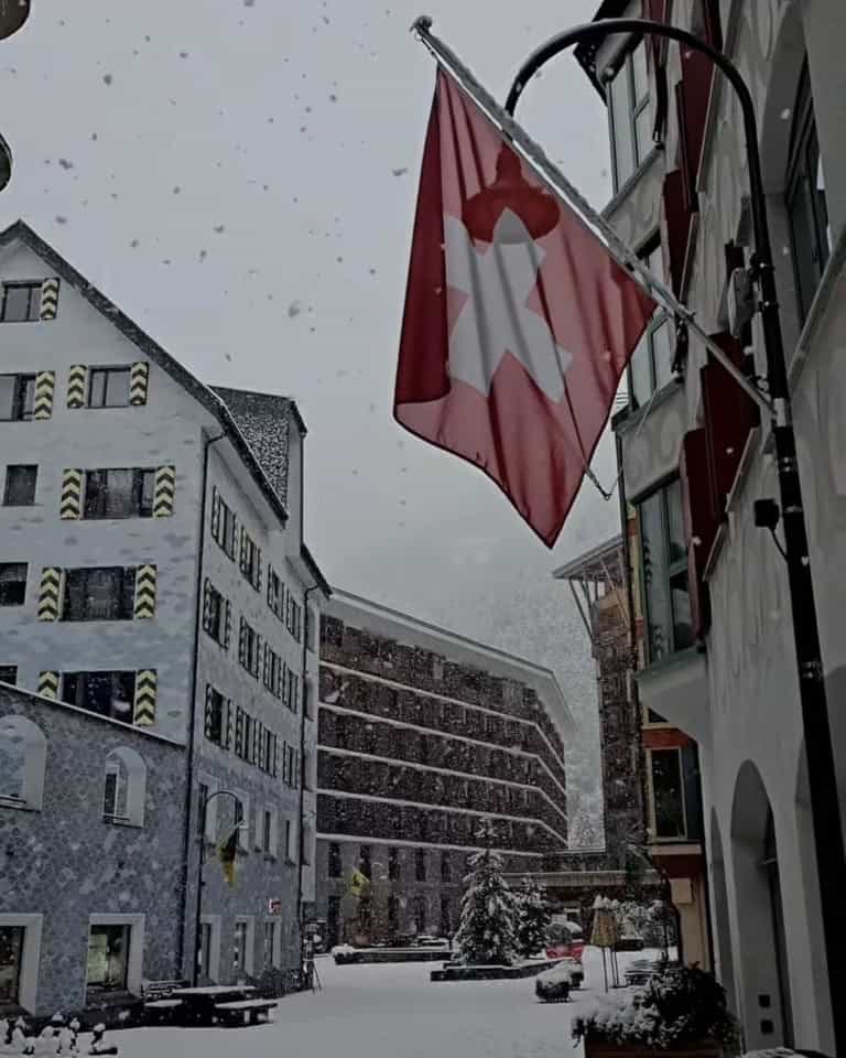 IMG 1164