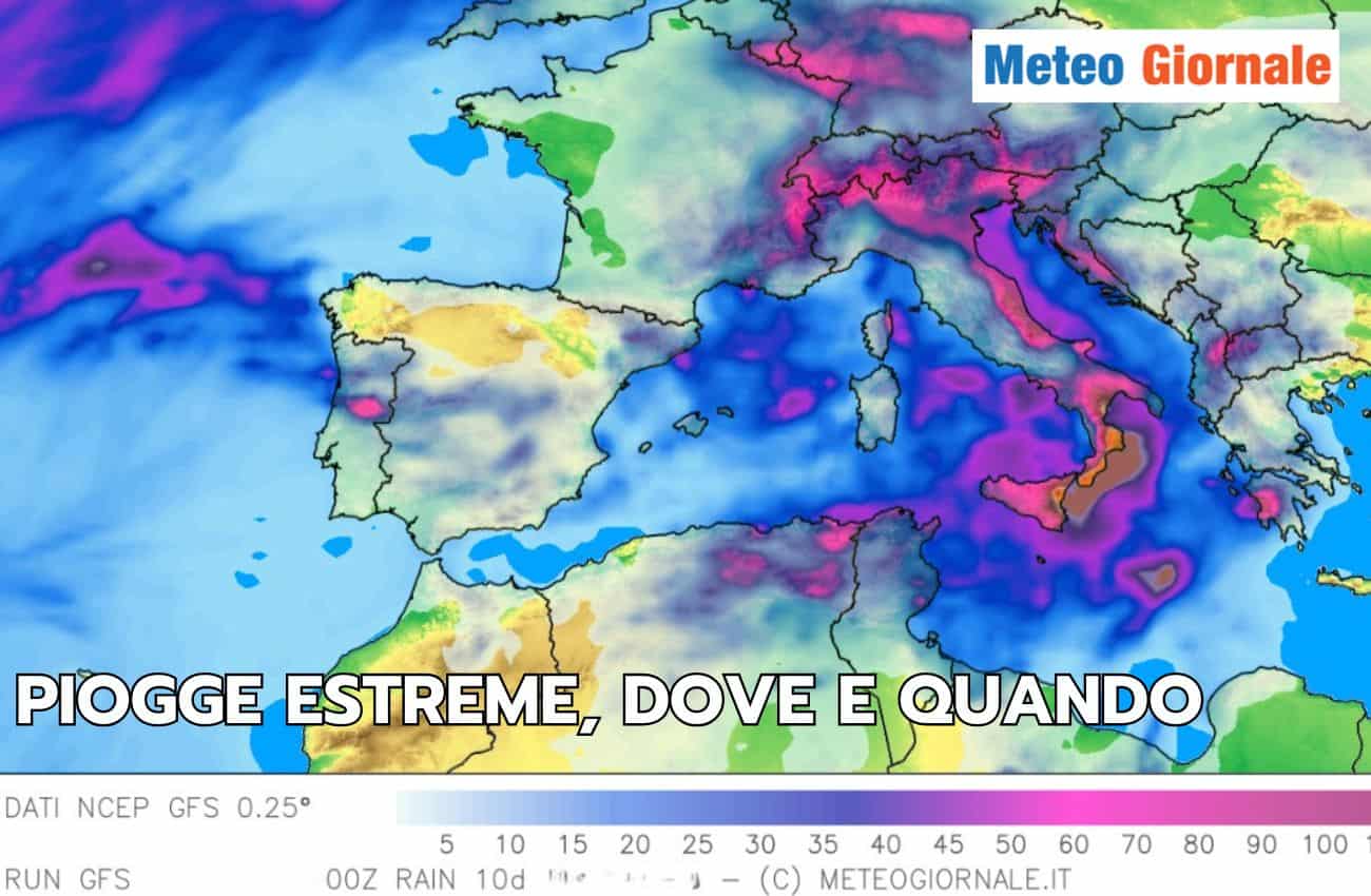 articolo 24