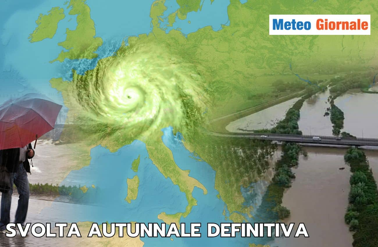 articolo 26