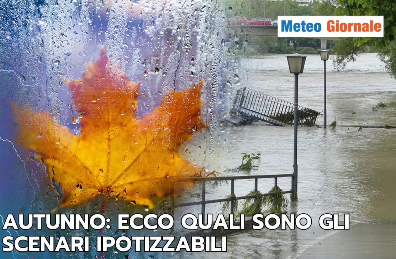 articolo 7