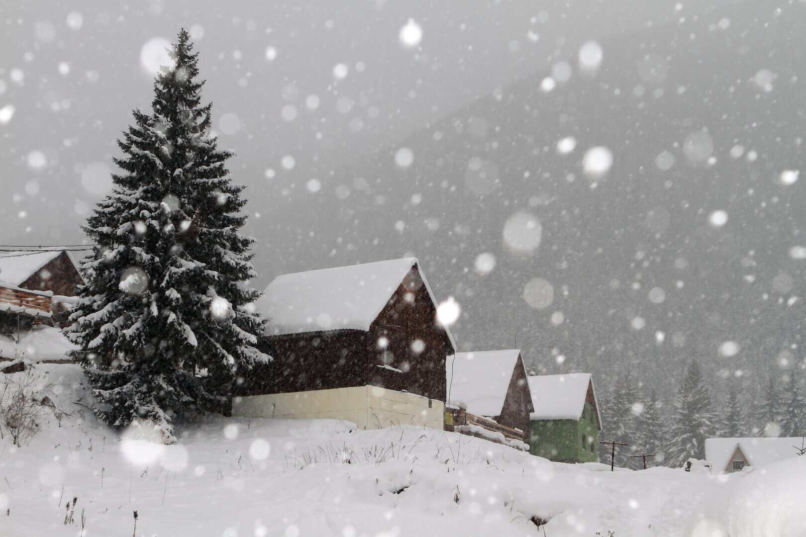 Neve, la prima vera nevicata. Le aree italiane interessate
