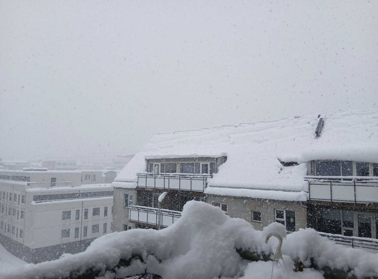 Nevicata record a Reykjavík: la capitale si ferma in un ottobre senza precedenti
