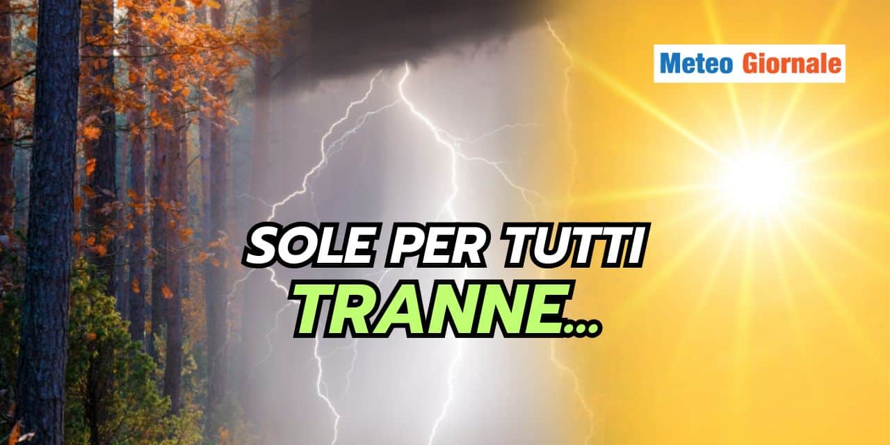 Copia di BOMBE DI GRANDINE 37