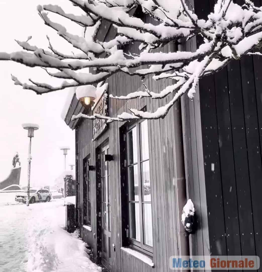 Reykjavik 29 00005