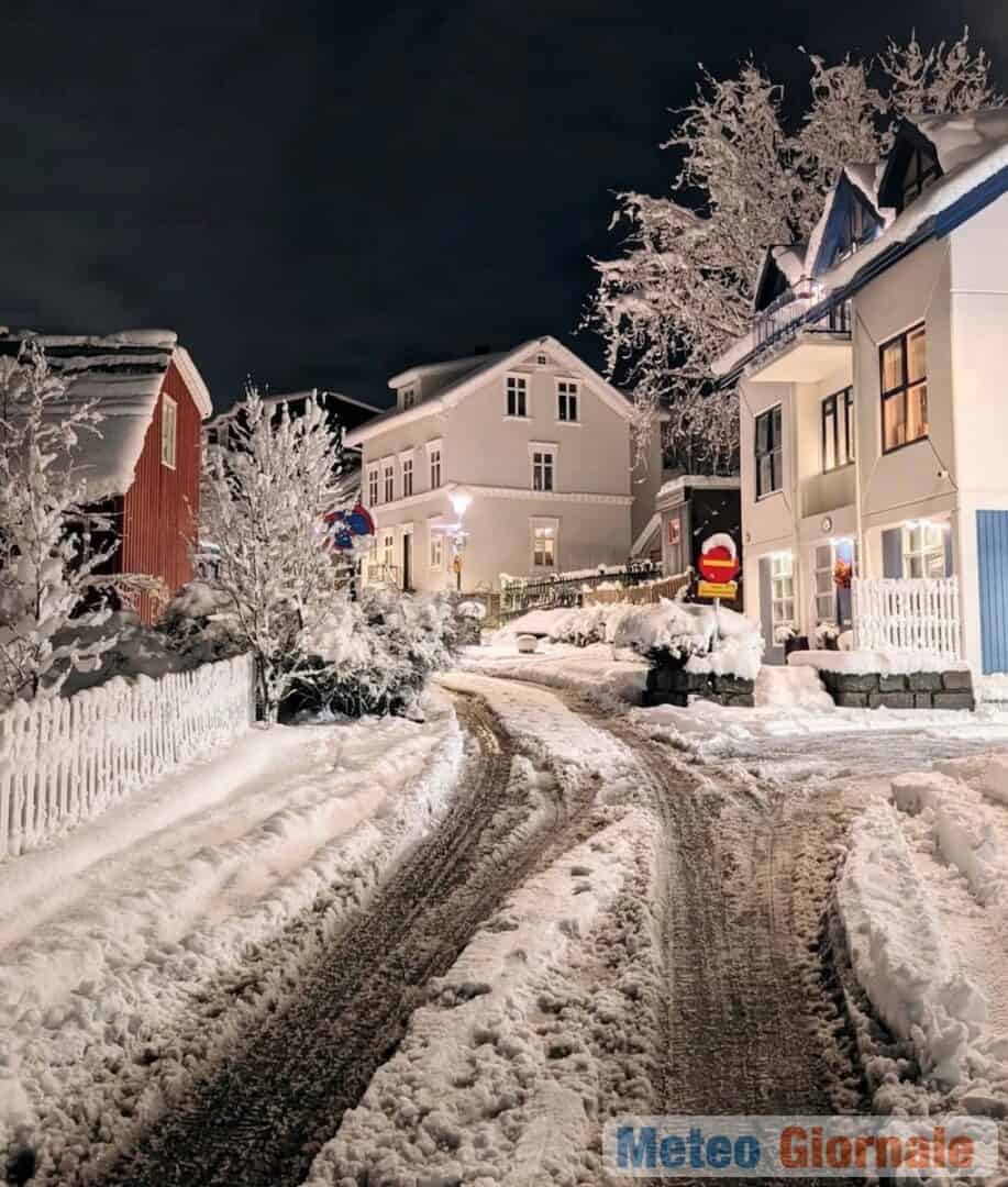 Reykjavik 29 00018