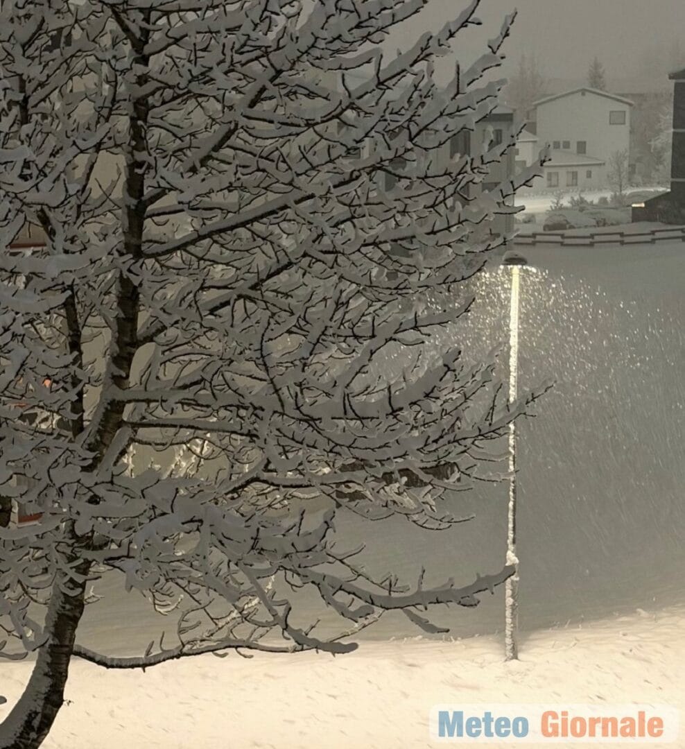 Reykjavik 29 00029