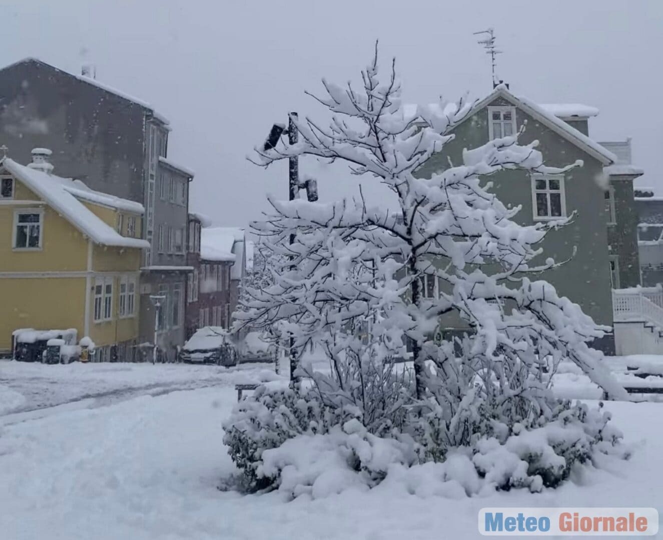 Reykjavik 29 00041