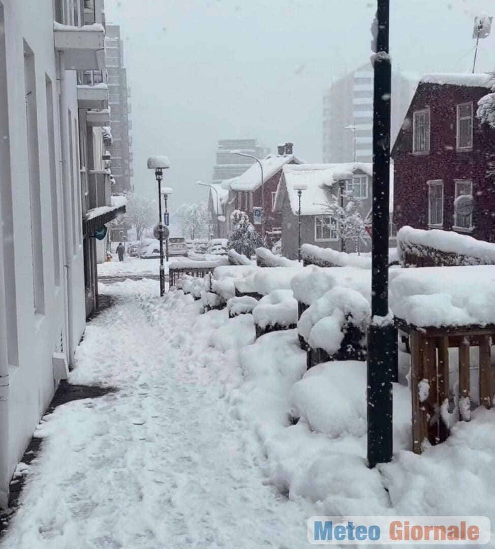Reykjavik 29 00042