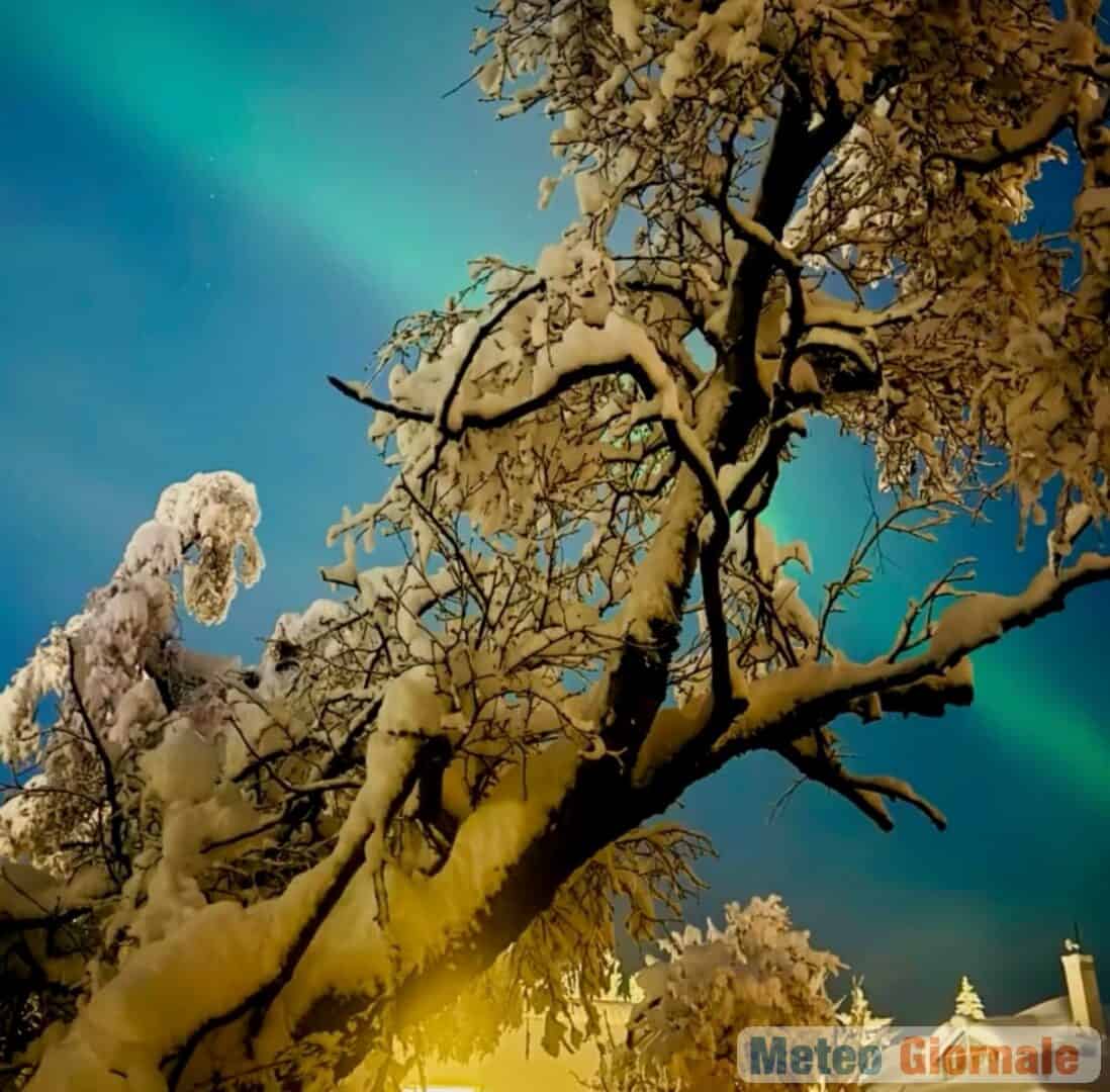 Reykjavik 29 00049