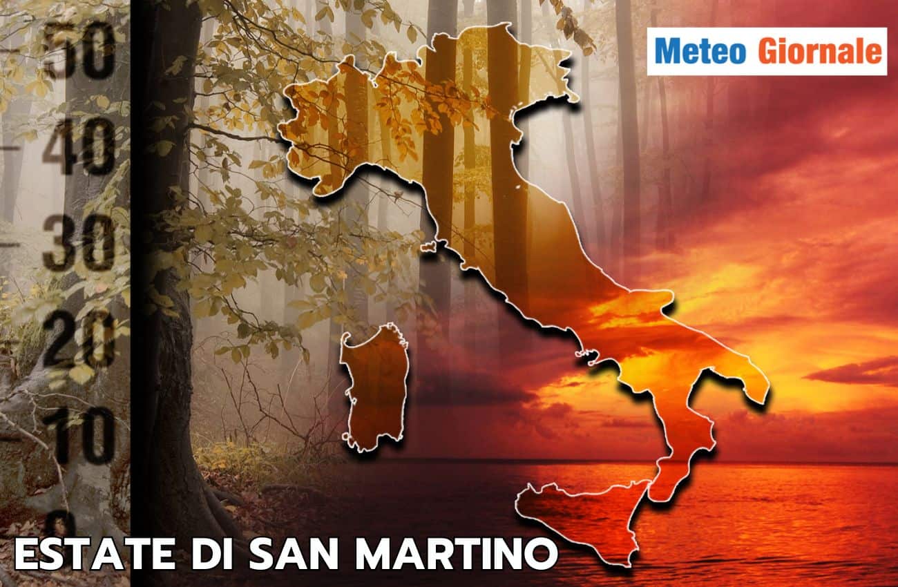 articolo 2 1