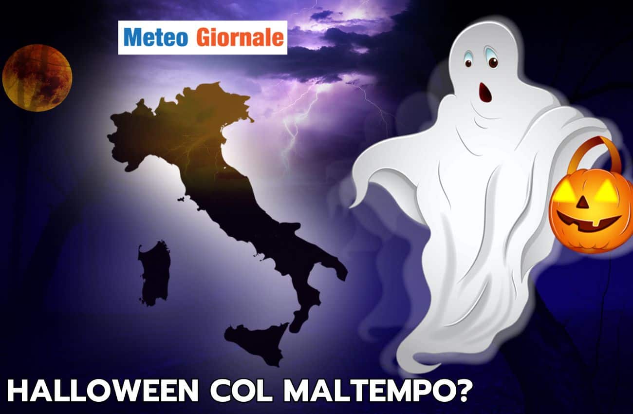 articolo 26