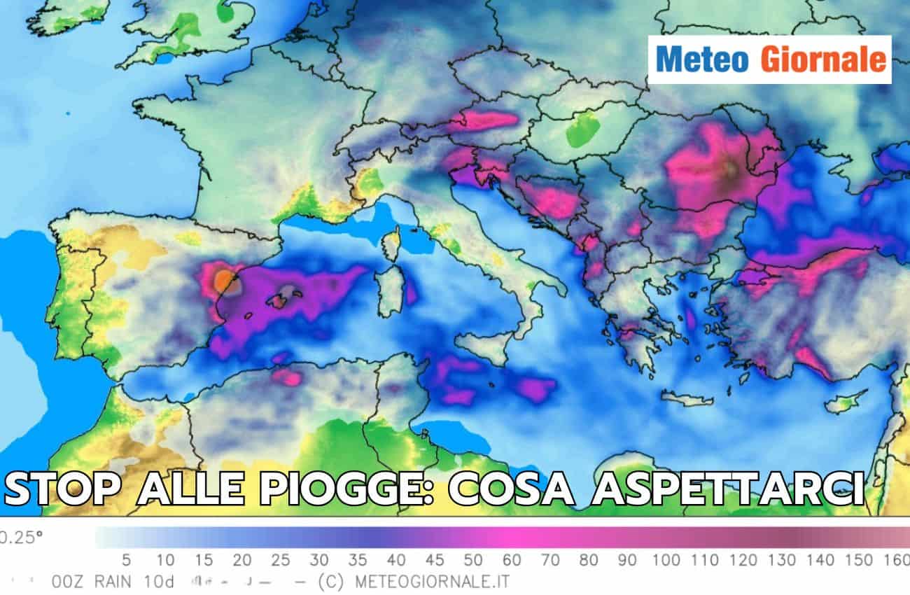 articolo 6