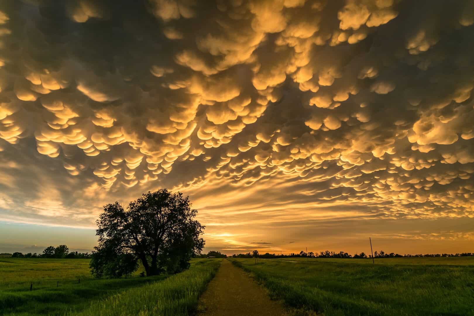ATTENZIONE a queste nubi: il segnale meteo che sta per scatenarsi la TEMPESTA