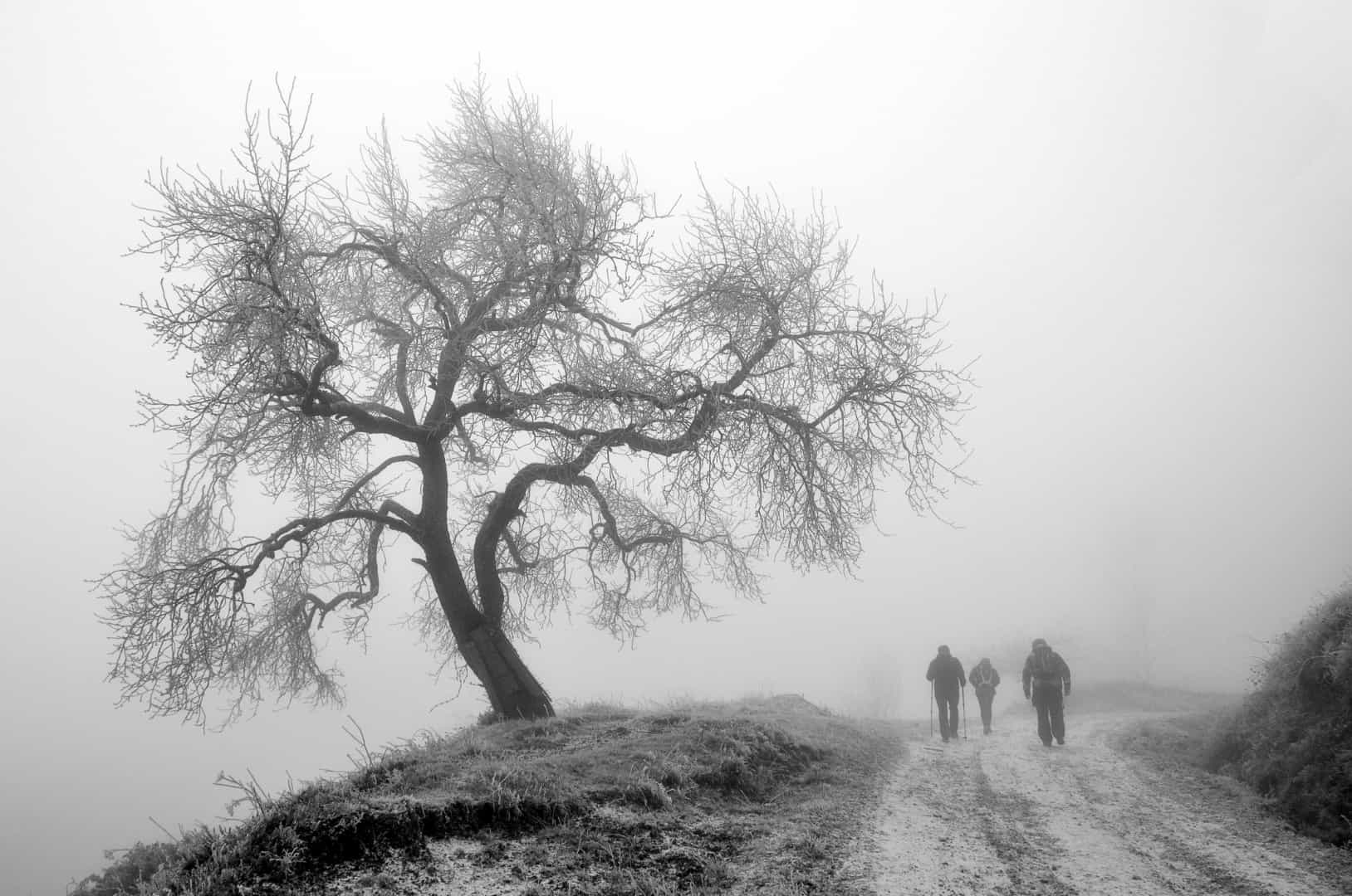 Malsana nostalgia di nebbia in Valle Padana