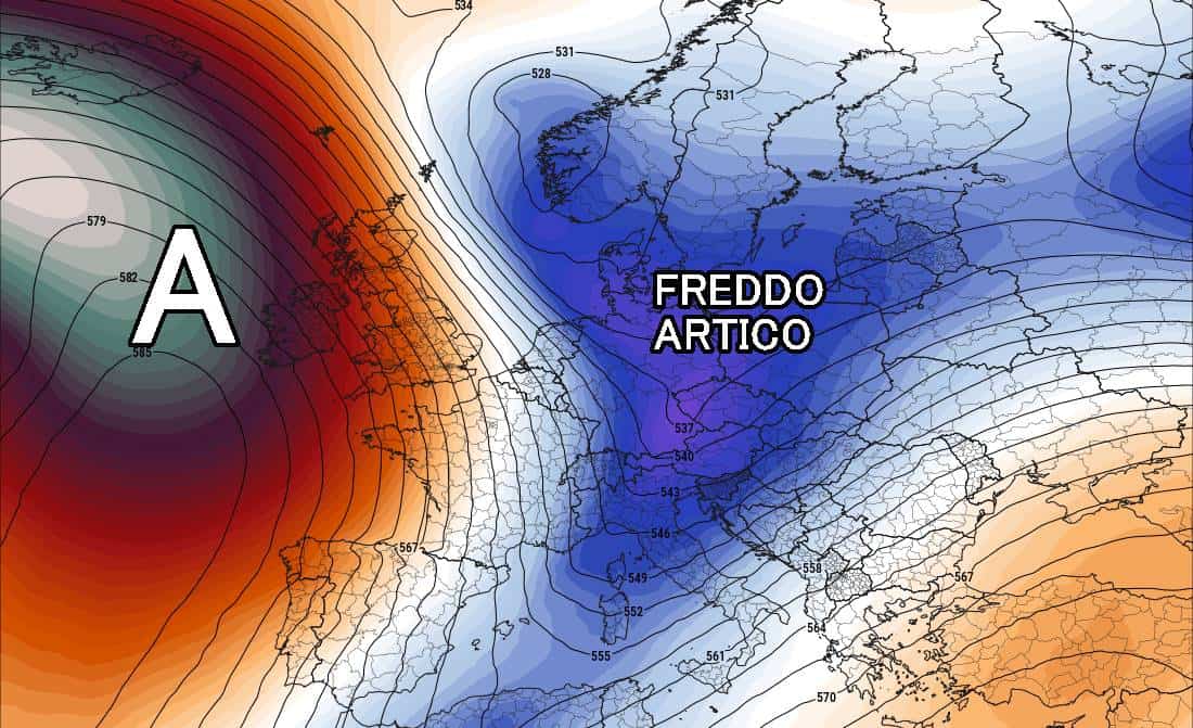 freddo