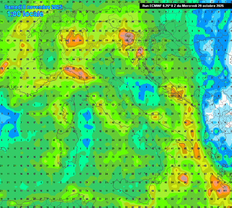 piogge ecmwf
