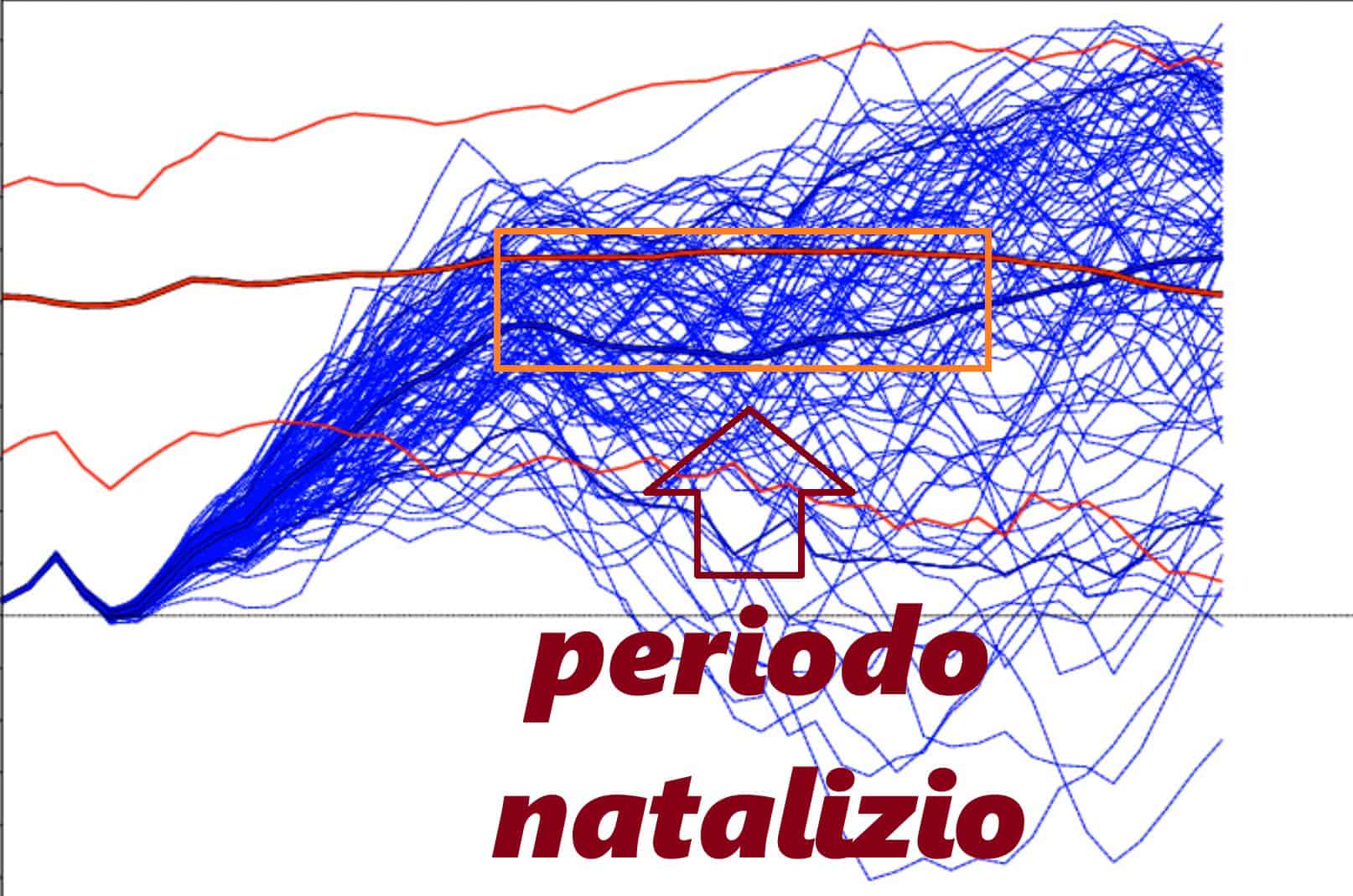 Senza titolojnef